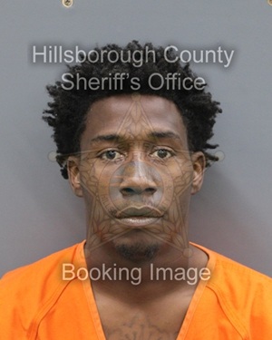 WILLIE LETRESE TINSLEY  Info, Photos, Data, and More About WILLIE LETRESE TINSLEY  / WILLIE LETRESE TINSLEY  Tampa Area