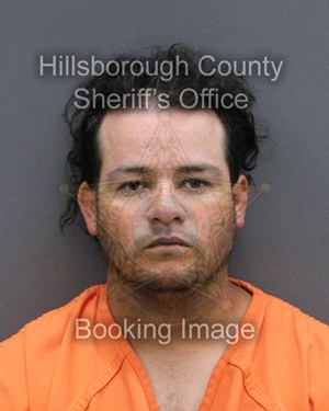 WILMER OSWALDO SILVESTRE FRANCO  Info, Photos, Data, and More About WILMER OSWALDO SILVESTRE FRANCO  / WILMER OSWALDO SILVESTRE FRANCO  Tampa Area
