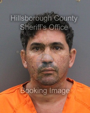 YOANDIS TORRES MORENO  Info, Photos, Data, and More About YOANDIS TORRES MORENO  / YOANDIS TORRES MORENO  Tampa Area